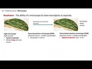 Microscopes. OCR A A-Level Biology Revision: Module 2 Foundation in Biology: