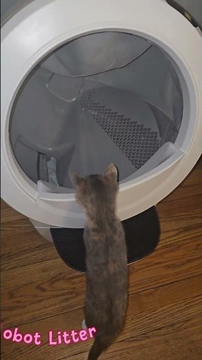 Litter-Robot 4 Review 🐾 Smart Self-Cleaning Litter Box by Whisker #whisker #litterrobot