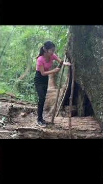 Girl Builds Bamboo Shelter Under a Tree Part 4 | Jungle Survival House Progress With Bamboo