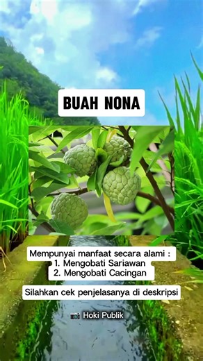 Satu tumbuhan, banyak manfaat yang tidak di ketahui #manfaattumbuhan #obatdaritumbuhan #shorts