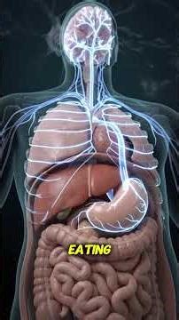 What Happens When You Drink a Protein Shake on an Empty Stomach💪🥤 #learnonyt #healthawareness#short