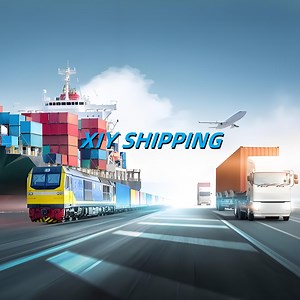 [Hot Item] Professional Sea Freight Shipping Agent From China to Belgium DDU DDP Service