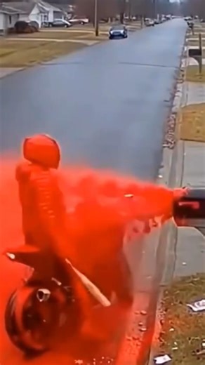 Package Thief Gets Instant Karma