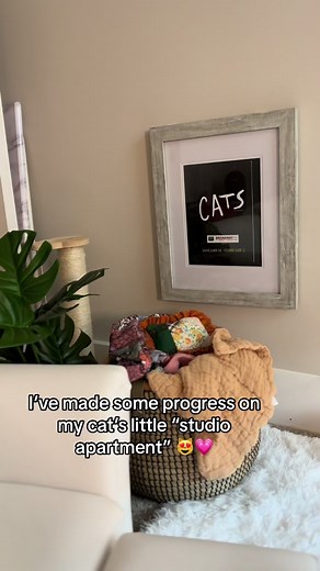 Still need to add some art to the tiny frames…finish the vision board…and do some painting on the wittle canvases 💗 #catsoftiktok #ragdollcatsoftiktok #cats #ragdollcats #catlover #viralvideo #minicatapartment