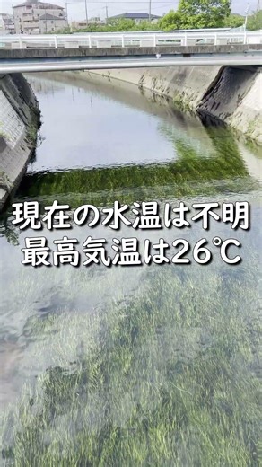 【寝屋川速報】2026.05.07木曜日の状況～初夏の陽気！