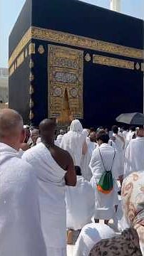 Allah hu alla #makkah #loveallah #islamic #allah #islamicprayer #makkahlive #naatsharif #shorts