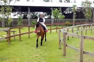 小马骑乘PONYRIDING