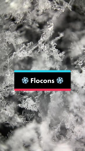 Découvrez la vraie couleur des flocons de neige au microscope