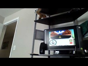 Cluefinders Reading Adventures 9-12 Assessment