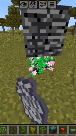 Minecraft tree sapling vs Bedrock