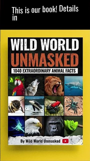 Jellyfish eat and poop from the same place