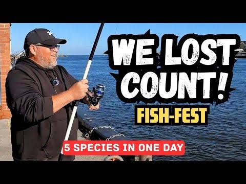 North Shields Fish Quay - North East Sea Fishing - River Tyne