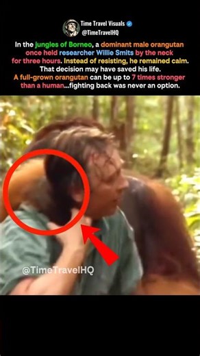 Held by a Giant Orangutan for 3 Hours He Knew One Wrong Move Meant Death #shorts
