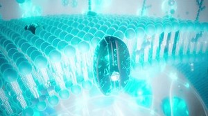 Conceptual animation of the cell plasma membrane