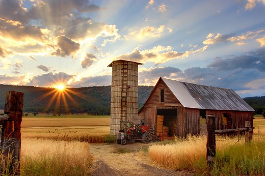 The Basics of Farm Insurance