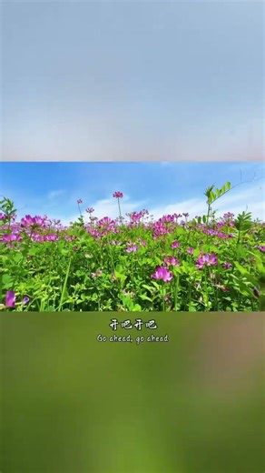 Teach you four-step flower photography tips that are simple, easy to learn and beautiful. Share