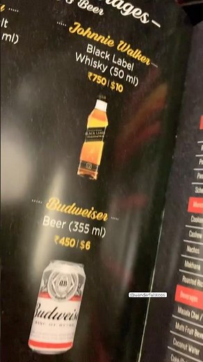 SPICEJET INFLIGHT MENU 🍛 #spicejet #inflightmeal #shorts