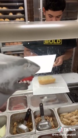 SUBWAY!!!!! #foryou #foryoupage #sharkpuppet