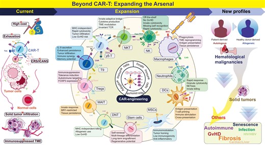 CAR Therapy Moves Beyond Cancer | Newswise
