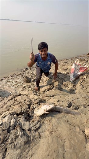 Shark hunting method by throwing small baits of tempting magur fish #fishinglife #bait