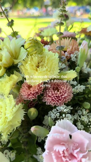 Countdown to Spring: Only 8 Days Left!