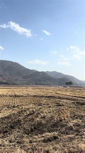 A peaceful scene from the Pyeongsari Field, the setting of the novel 'Land'