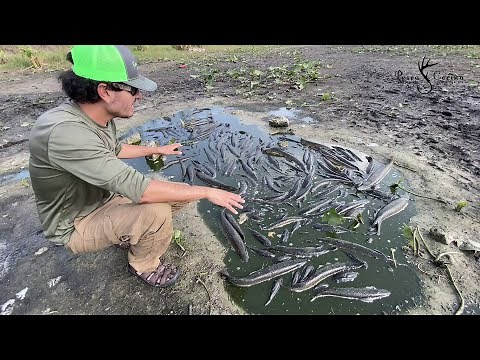 The Death Trap | Fishing and Cooking by David Madrid