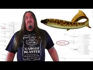 Systematic Classification of Life ep9 - Gnathostomata