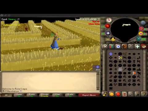 OSRS Iron Man Guide: PuroPuro Guide -- 500k+/hr