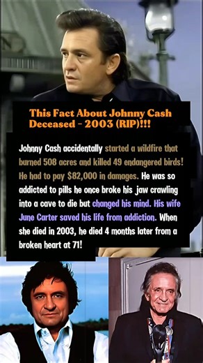 Johnny Cash Burned 508 Acres & Killed 49 Birds!