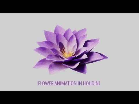 Houdini Tutorial | Blooming Flowers | Node Layout | Part 3.5