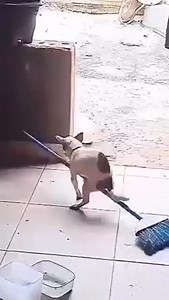 Harry Potter MUTO | ENOCH