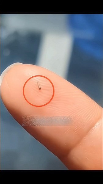 THE TINY CATERPILLAR THAT TURNED INTO A BEAUTIFUL BUTTERFLY 😱