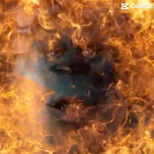 What is sulley doing?