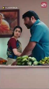 RajadhiRaja | Mammootty | Joju George | Raza Murad | Siddique | Sun NXT