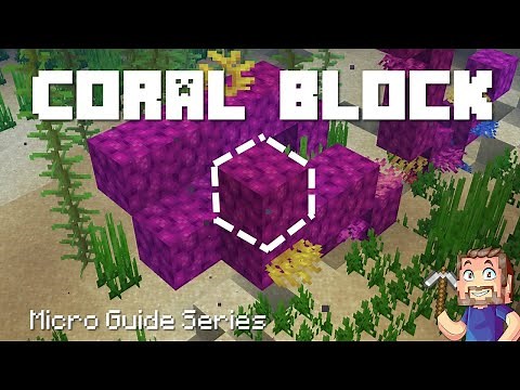 Coral Block - Minecraft Micro Guide