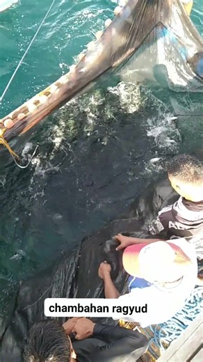 Vincent Dimal on Reels