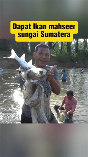 Sumatran river mahseer fish net