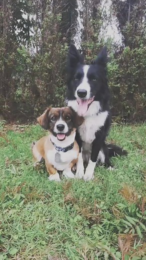 Fadowofrytkowa na TikTok