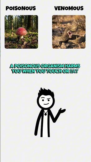 Poisonous vs Venomous ☠️ What’s The Difference?