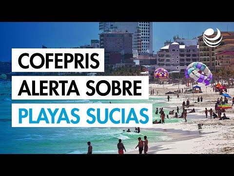Vacaciones de Semana Santa: Cofepris alerta sobre seis playas con altos niveles de bacterias fecales