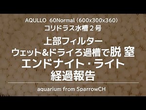 ウェット&ドライろ過層2段重で脱窒ーエンドナイト・ライト 経過報告