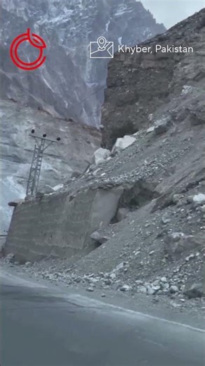 Can You Spot It? 👀 Snow Leopard is Camouflage Master #snowleopard #wildlife #pakistan #rare #nature