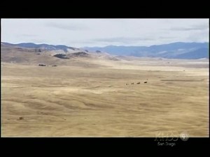 【PBS Nova】新星 第33季 The Complete Season33 17集【英语】