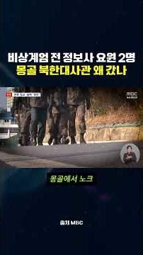 Why did two Intelligence Command agents go to the North Korean embassy in Mongolia before the dec...