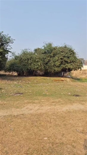 Jumping Tutorial: Master the Trendy Moves! 🔥