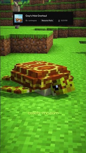 ✅ Best Texture Packs for Minecraft 1.21.6