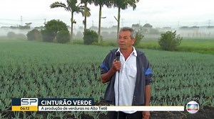 A situação do Cinturão Verde durante a pandemia