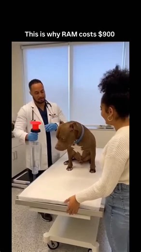 Deepnewsai on Instagram: "This is why RAM costs $900 — because of AI. AI data centers are absorbing enormous amounts of memory, especially high-bandwidth RAM used for training and running large models. Chipmakers are prioritizing these high-margin AI contracts, which squeezes supply for consumer RAM. Less supply + exploding demand = prices going vertical. It’s not gamers or PCs anymore — AI infrastructure is driving the market."