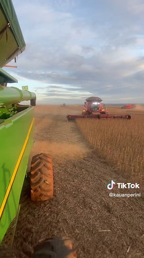 #agronomia#agricultura #safra#grupomattei #agricola #jovensdalavoura#agriculturabruta#agro#anacastela#caseih#jonhdeere#agriculture #soja#colheita